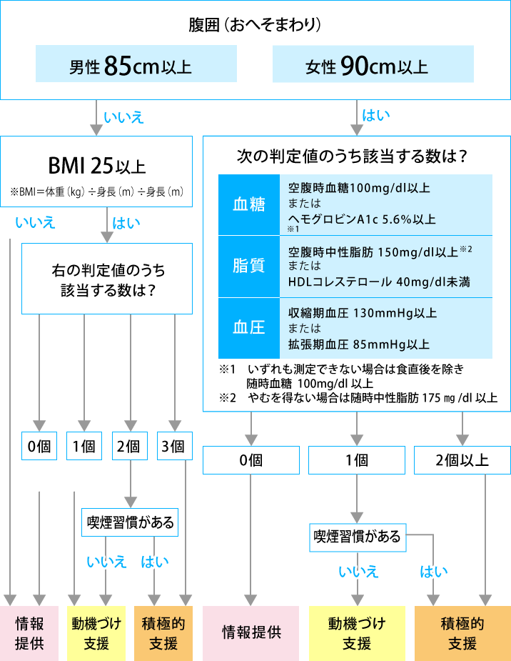 特定保健指導フローチャート